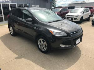  Ford Escape SE For Sale In Forest City | Cars.com