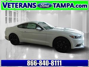  Ford Mustang GT Premium in Tampa, FL