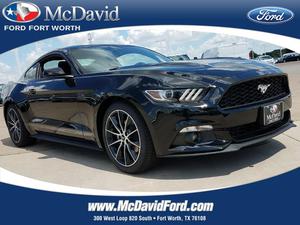  Ford Mustang ECOBOOST FASTBACK in Fort Worth, TX