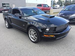  Ford Mustang GT Premium For Sale In Nicholasville |
