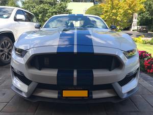  Ford Shelby GT350 Base For Sale In Massapequa |