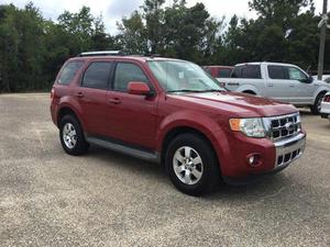  Ford Escape Limited For Sale In Pensacola | Cars.com