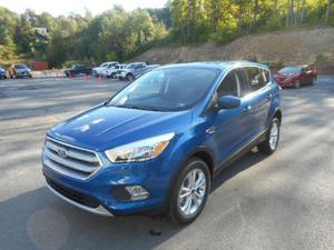 Ford Escape SE For Sale In Saint Marys | Cars.com