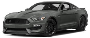  Ford Shelby GT350 Shelby GT350 For Sale In Hamilton |