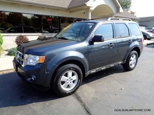  Ford Escape XLT For Sale In Portage | Cars.com