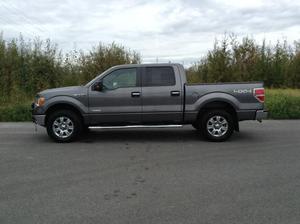  Ford F-150 XLT For Sale In Fairbanks | Cars.com