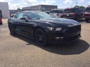  Ford Mustang GT Premium For Sale In Texarkana |