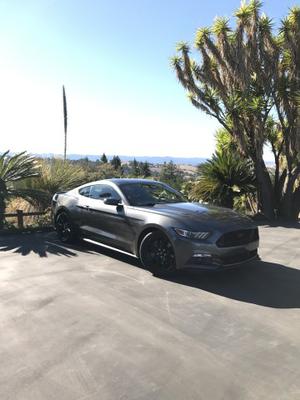  Ford Mustang GT Premium For Sale In Palo Alto |