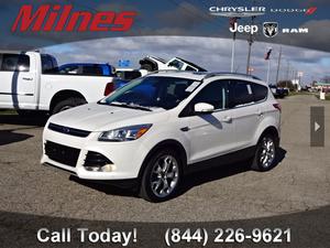  Ford Escape Titanium in Imlay City, MI