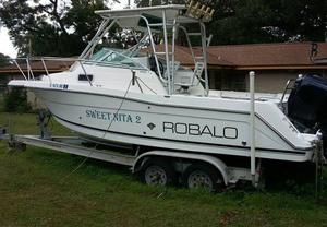  Robalo  Cuddy