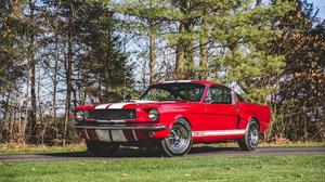  Shelby GT350 Fastback