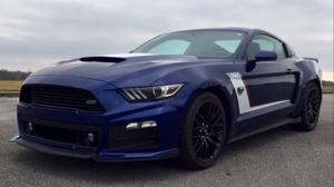 Ford Mustang Warrior