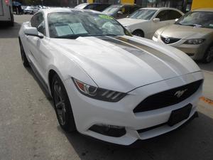  Ford Mustang 2dr EcoBoost Premium in Inwood, NY