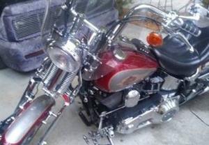  Harley Davidson XST Springer Softtail