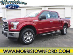  Ford F-150 XLT in Morristown, TN