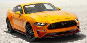  Ford Mustang EcoBoost in Tampa, FL