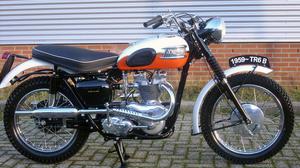  Triumph Trophy Bird