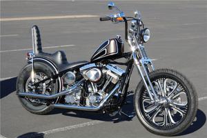  Harley Davidson Count's Kustom Special Edition 
