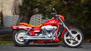  Harley-Davidson Softail