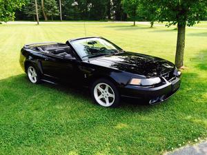  Ford Mustang Cobra SVT Convertible