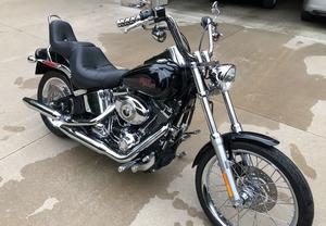  Harley Davidson Fxstc Softail Custom