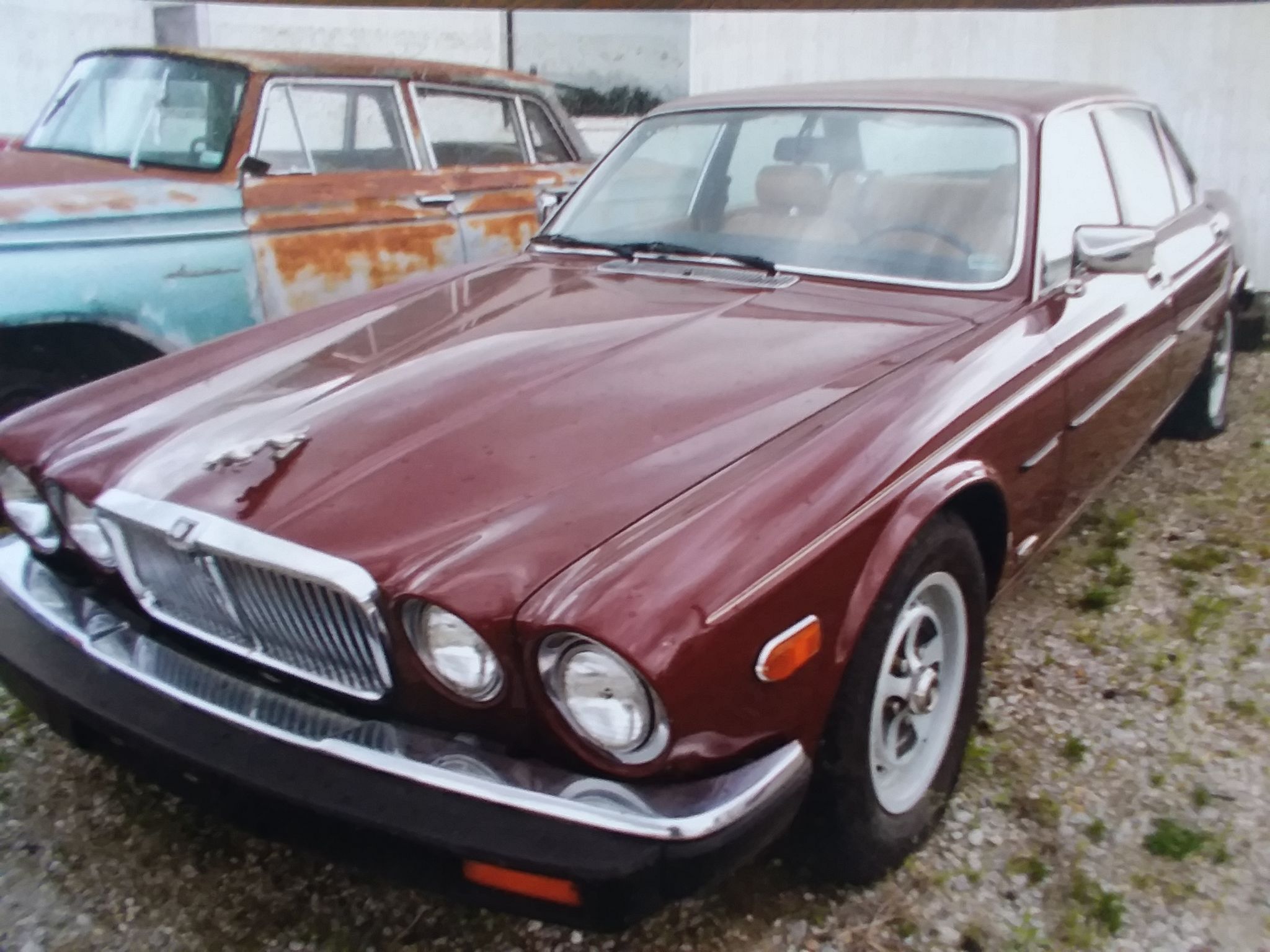  Jaguar XJ6