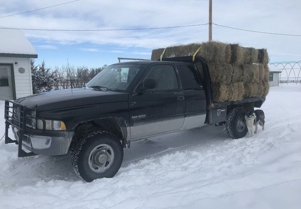  Dodge Ram  Flatbed