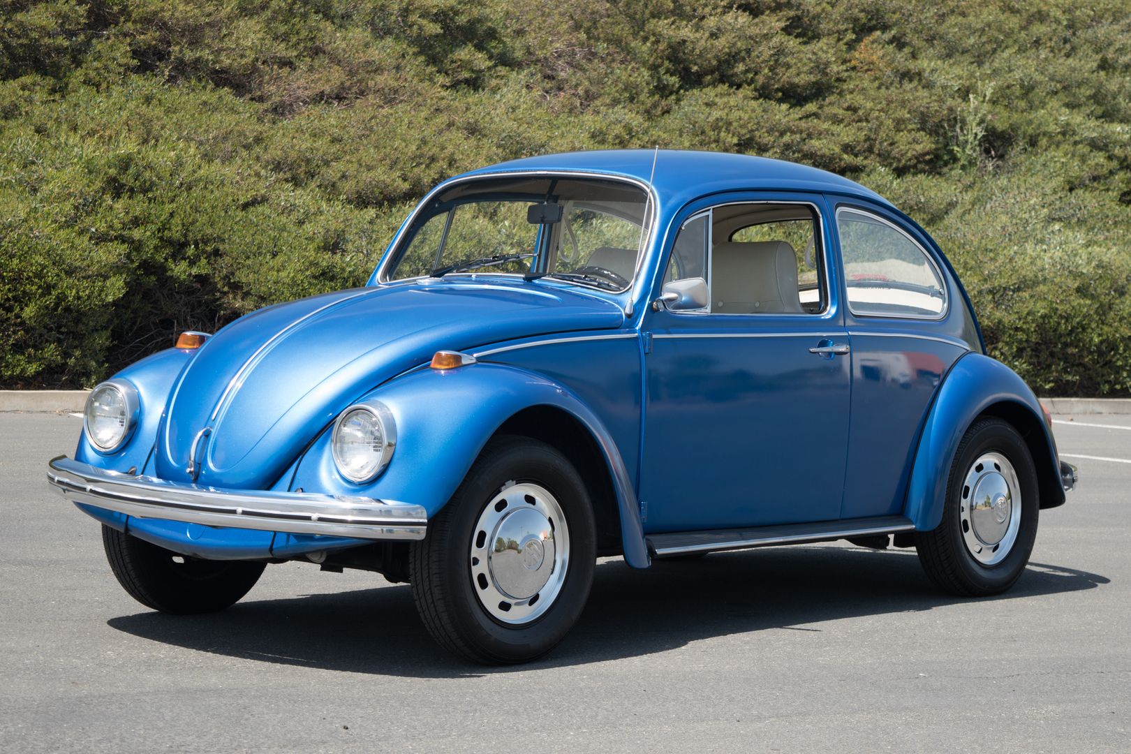  Volkswagen Beetle No Trim Field