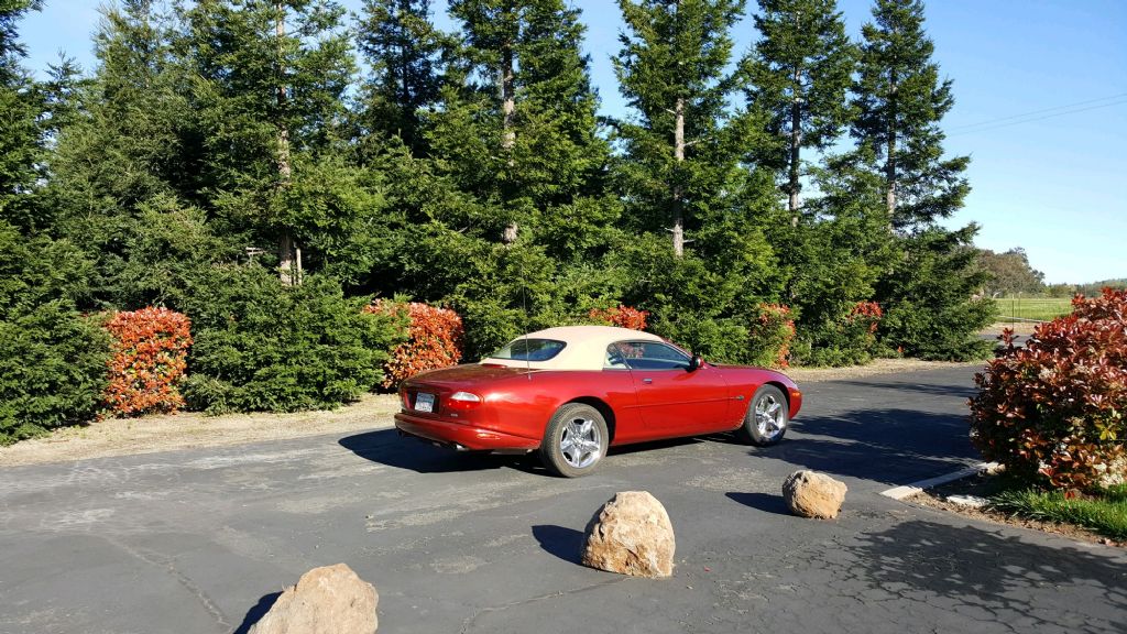  Jaguar XK8 Convertible Coupe