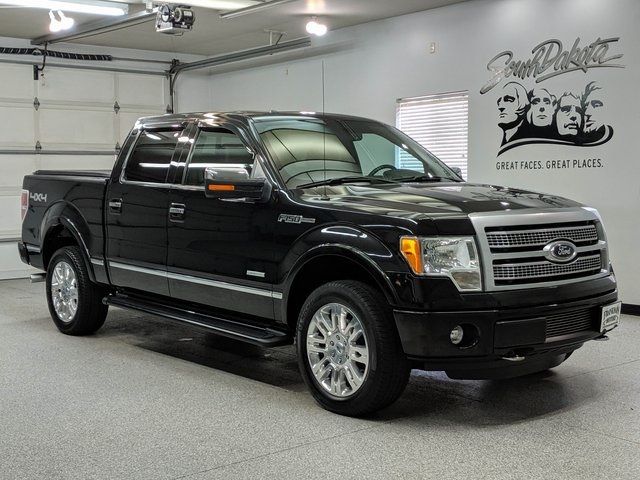  Ford F-150 Platinum