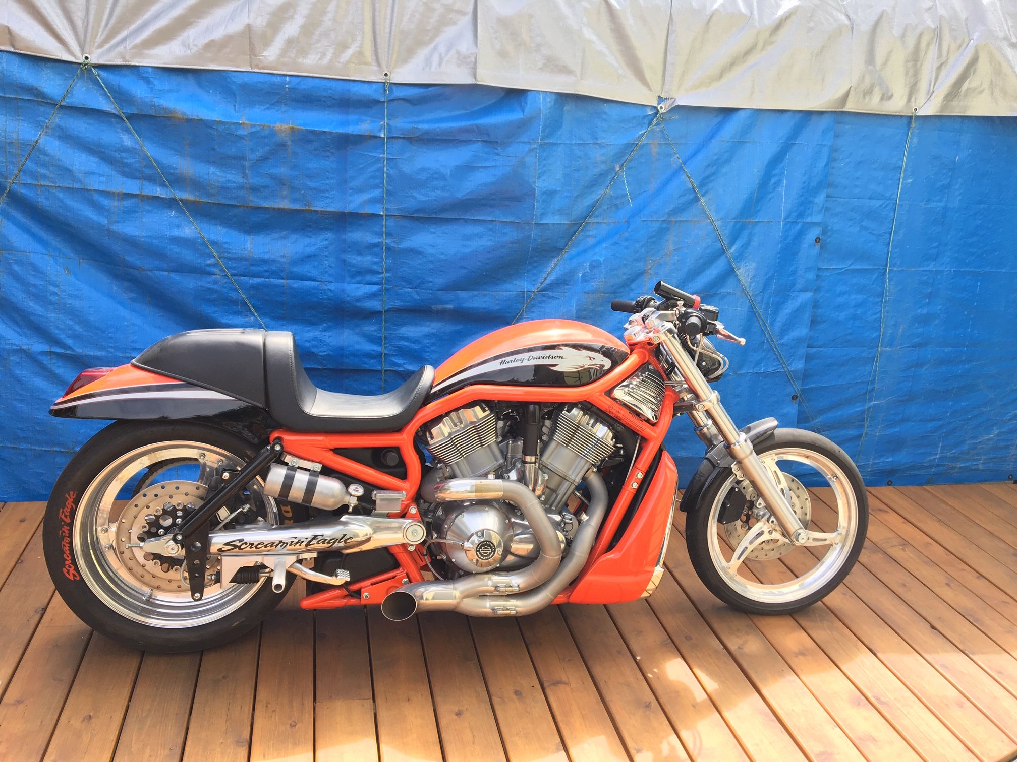  Harley Davidson Vrxse