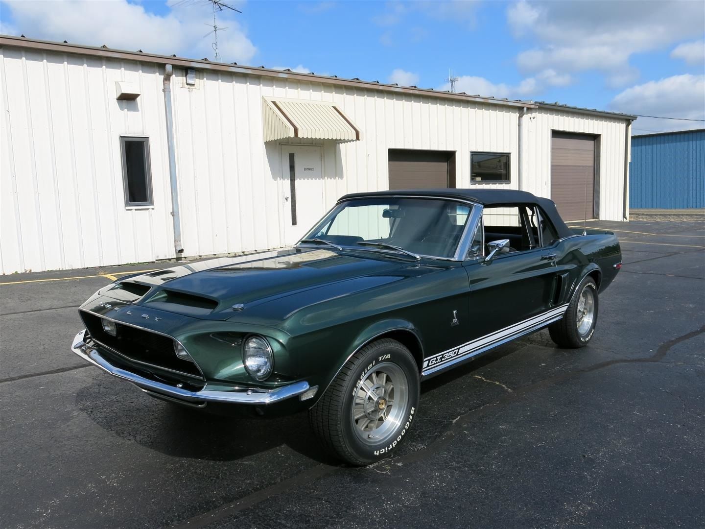  Shelby GT350 Convertible