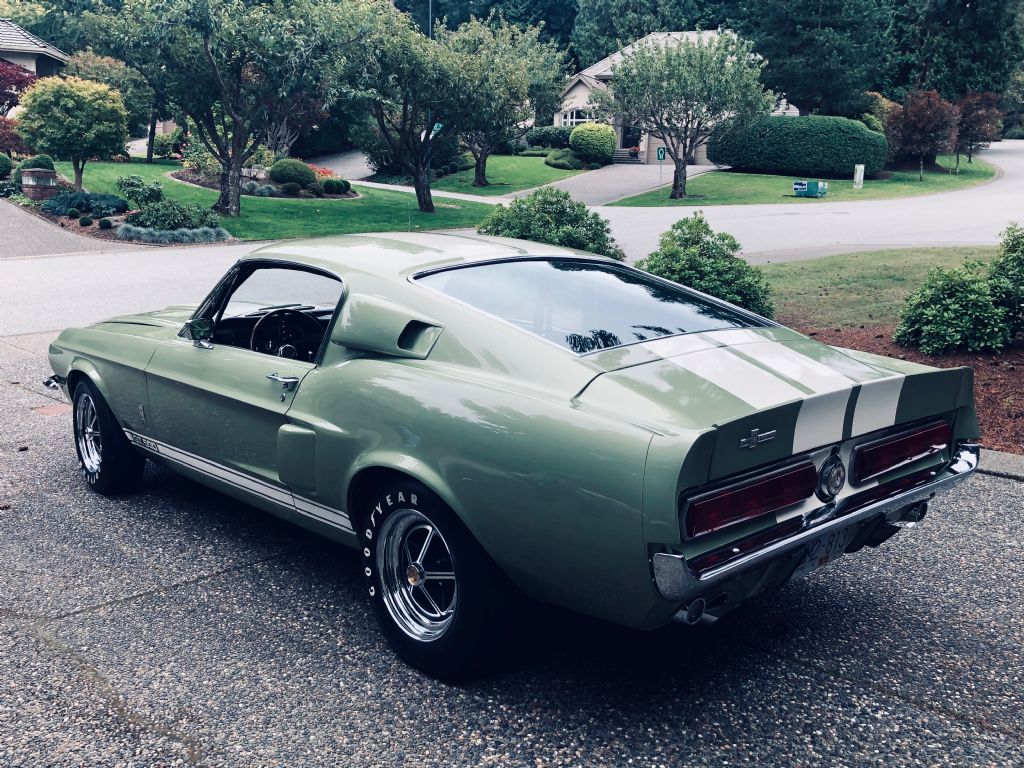  Ford Shelby Fastback