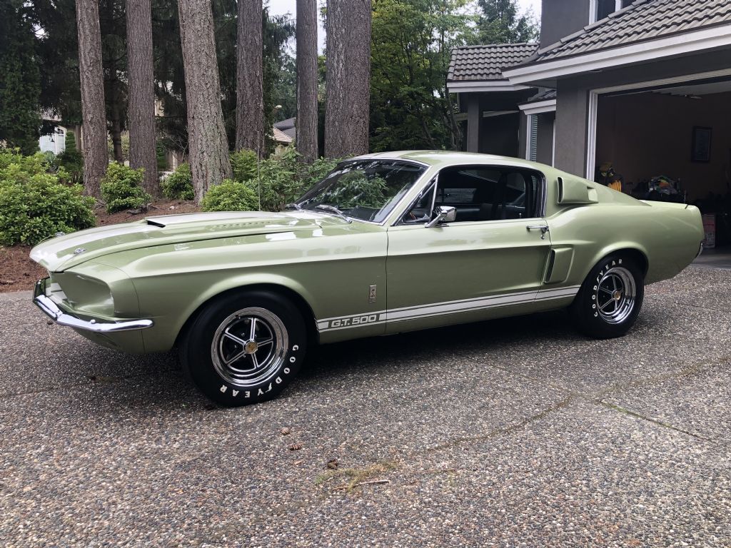  Ford Shelby GT 500 Fastback